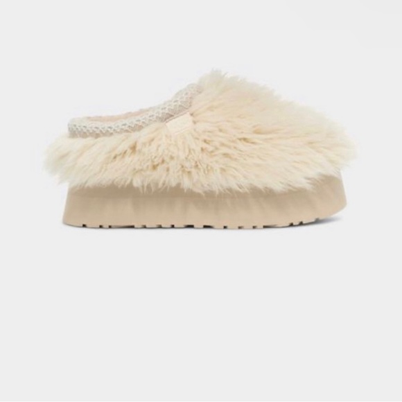 SOLD: Fluff Momma Sugar Tasman - Picture 2 of 5